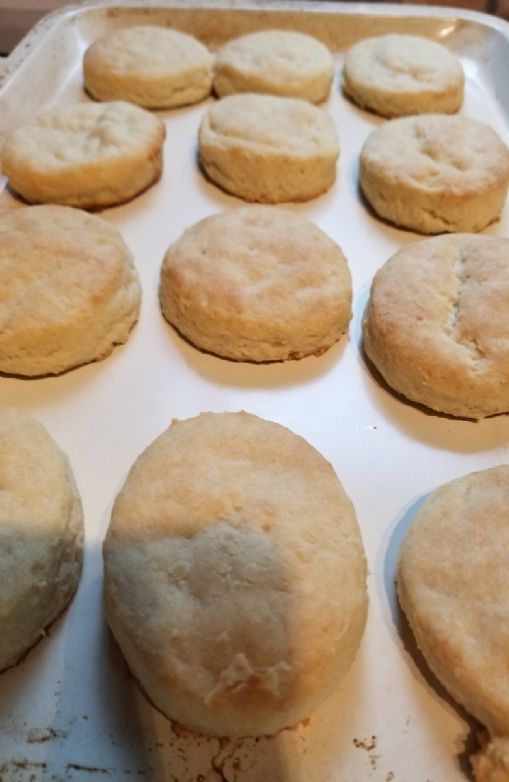 Carbalose biscuits