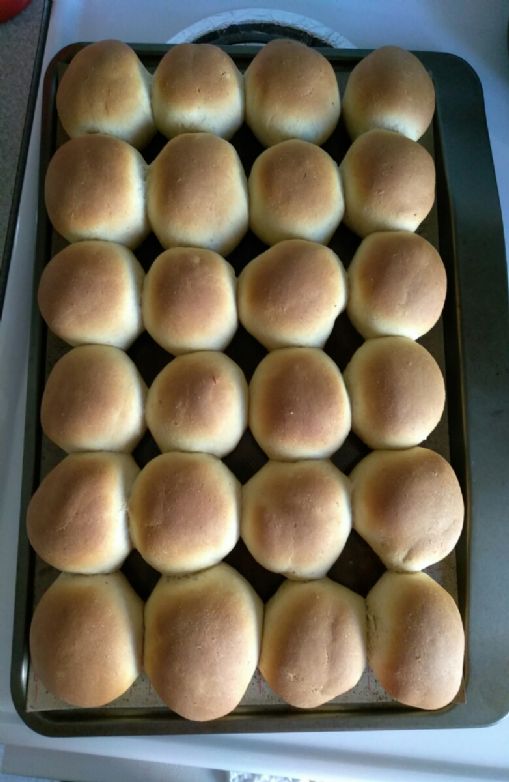 Homemade Wheat Rolls