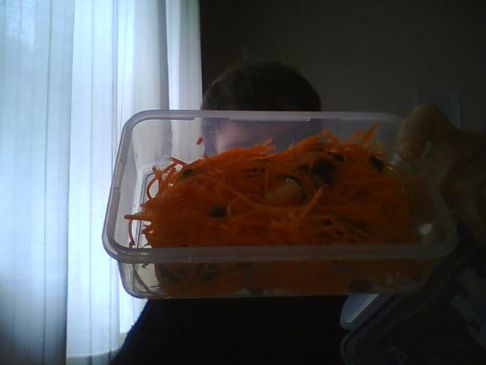 Red's Carrot Salad