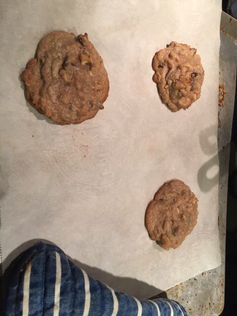 Chocolate Chip Cookies - small batch - three cookies