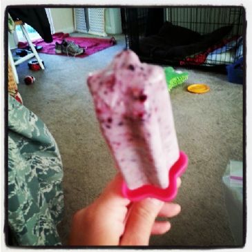 Berry Protein Pops