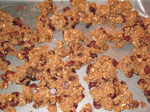 Cranberry Chocolate Chip Granola