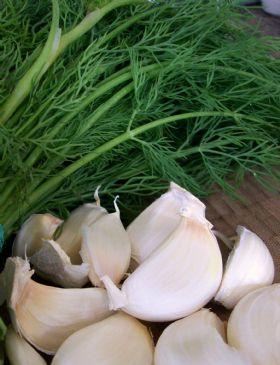 Garlicky Dill Fridge Pickles