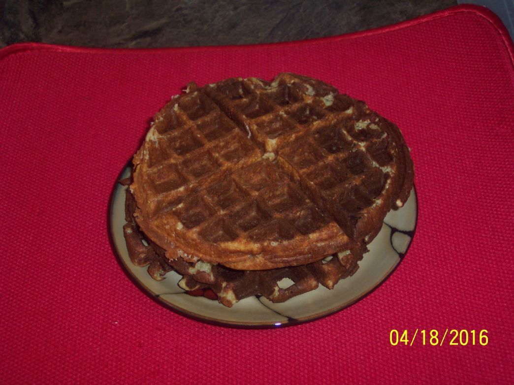 Sane Paleo Gluten-Free Protein Waffles