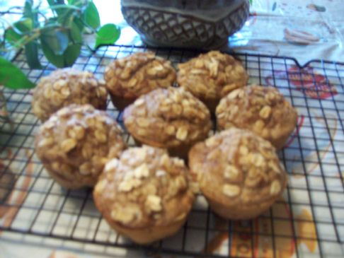 Apple Cinnamon muffins made from Sparkpeople's multi purpose baking mix