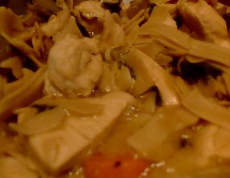 Josh's Chicken Noodle STEW