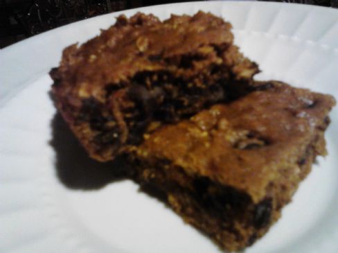 Pumpkin Oat Chocolate Chip Protein Squares