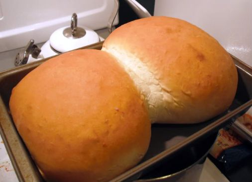 Hearty Whole Wheat Bread