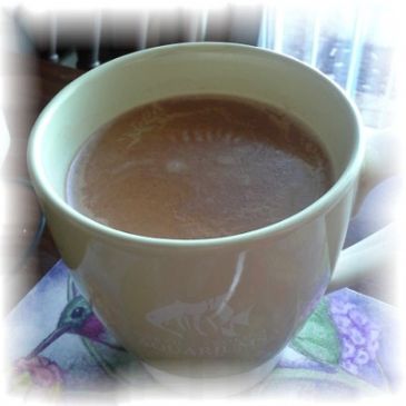 Reduced Carb Hot Chocolate