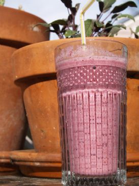 Blueberry Cranberry Smoothie