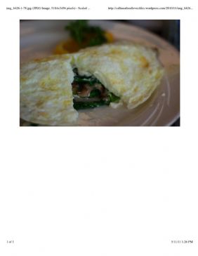 Karen's Veggie and Chicken Omelet