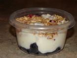 Blueberry Yogurt Parfait