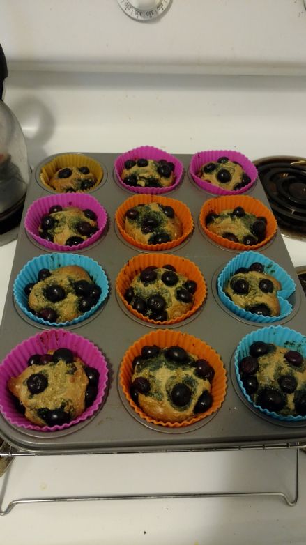Blueberry Shakeology muffins