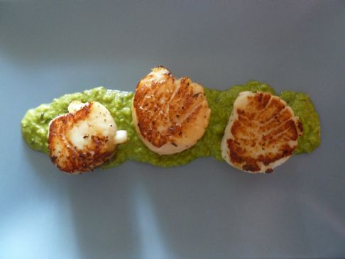 Seared Scallops with Minted Pea Puree