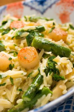 Creamy Orzo with Sea Scallops, Asparagus and Parmesan