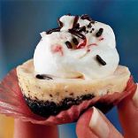 Mini Peppermint Chocolate Cheesecakes