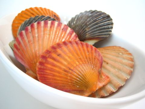 Sauteed Bay Scallops Salad with Homemade Key Lime Vinaigrette Dressing