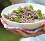 Puy lentil, red onion and herb salad
