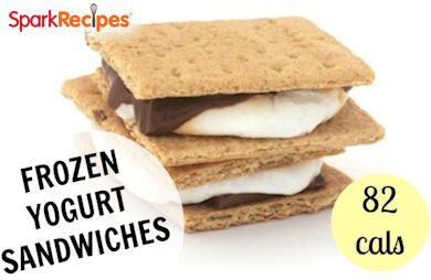 Frozen Yogurt Sandwiches