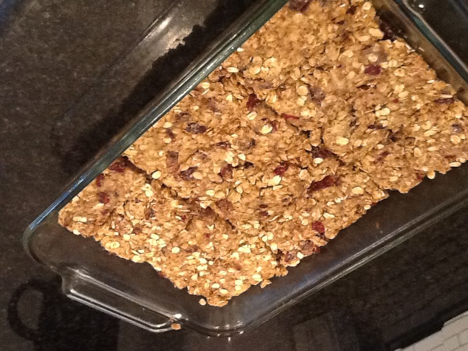 Homemade fiber bars