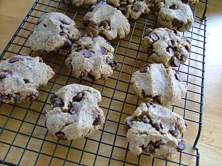 Chocolate Chip Flaxseed Cookies