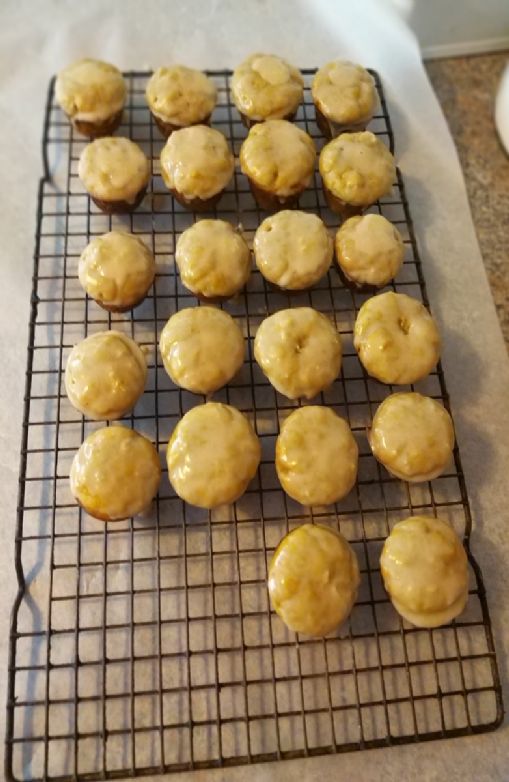 Lemon Proteins Donut Holes