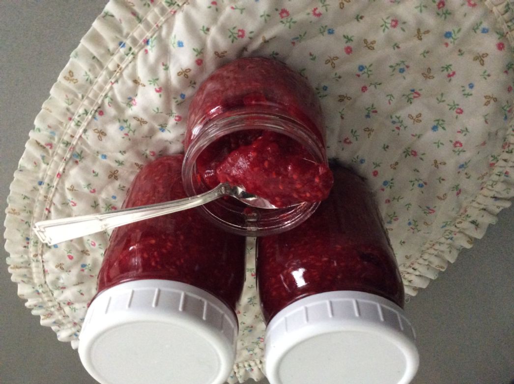 Low calorie raspberry freezer jam (no cook)